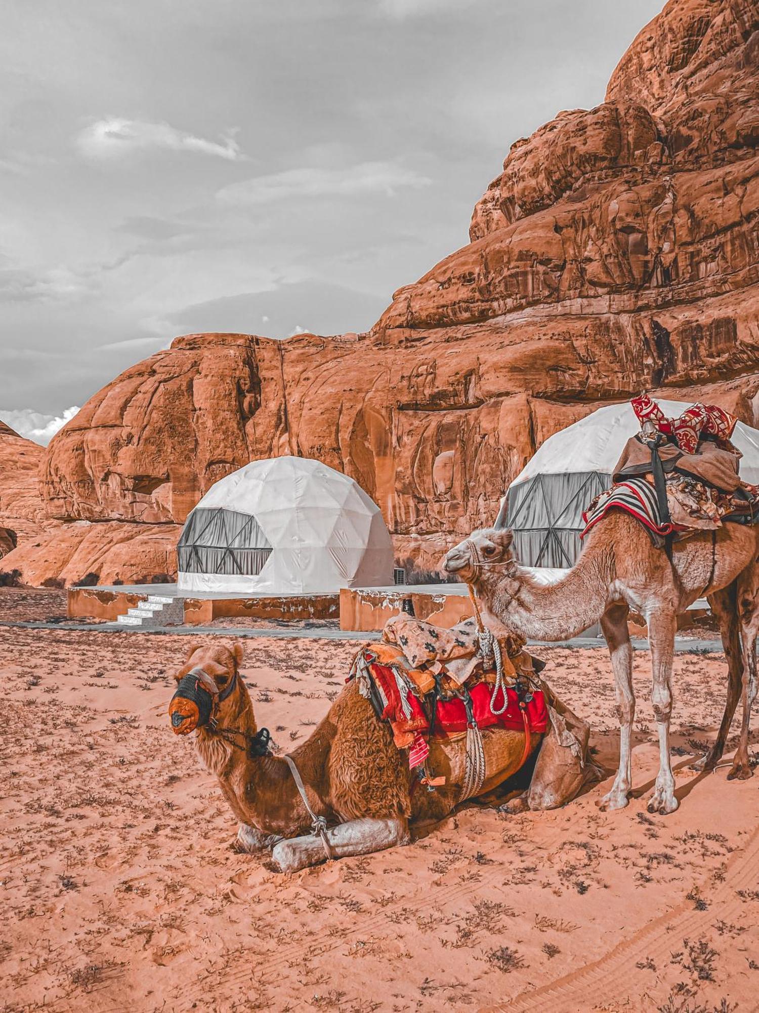 Scarlet Luxury Camp Wadi Rum Exterior foto